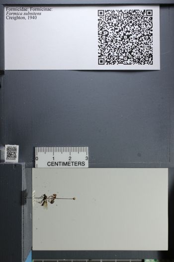 Media type: image;   Entomology 525325